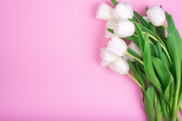 white tulips flat lay. bouquet of spring flowers on a pink background, place for text