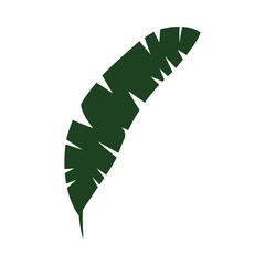 leaf palm tropical foliage icon