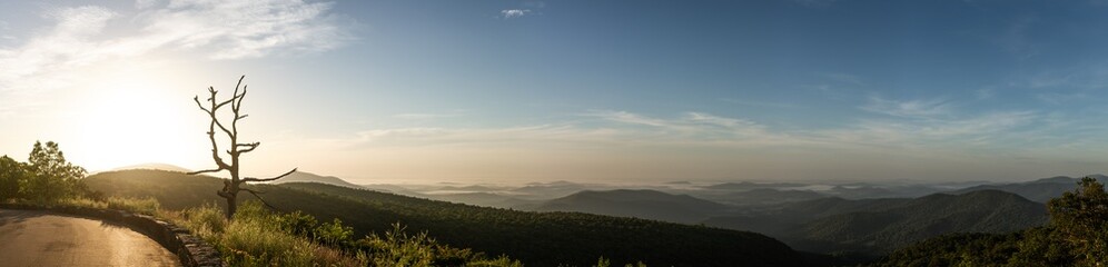 Naklejka na ściany i meble Panorama view of hills in nature with forest in Shenandoah at morning sunny day