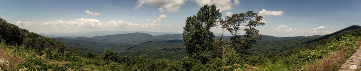 Obraz premium Panorama view of hills in nature with forest in Shenandoah at sunny day