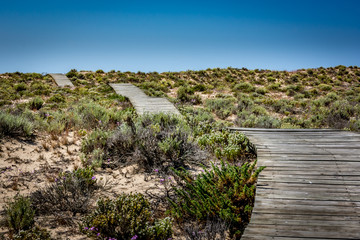 Wooden plank path through sandy dunes on an island near Faro in Portugal