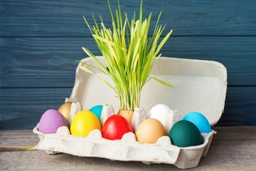 Easter colored eggs in egg tray, young wheat sprouts from the shell, Happy Easter Wishes card