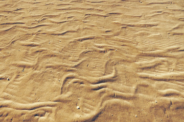 Solid sea sand after low tide as a background
