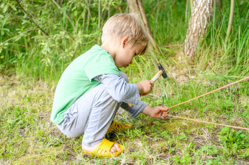 cute little boy toddler help set up a camping tent. family with little children have fun spending summer holidays in nature outdoor