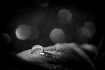 Gota de agua brillante