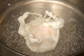 An egg poaching in boiling water - obrazy, fototapety, plakaty