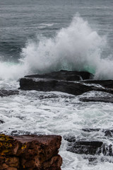 Coast of Maine