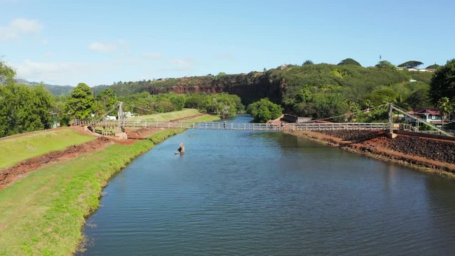 Wide angle motion view with drone flying towards and over the bridge as tourists cross the famous wooden suspension swinging bridge across the river in Hanapepe Kauai