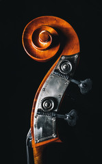 Rockabilly upright bass with tuners closeup