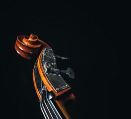 Double bass head stock with strings and tuners