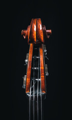 Double bass head stock with strings and tuners