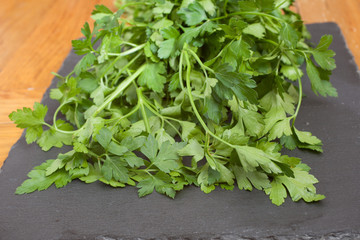 A bunch of fresh coriander