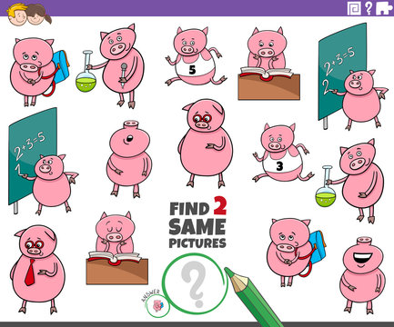 find two same pig characters task for kids