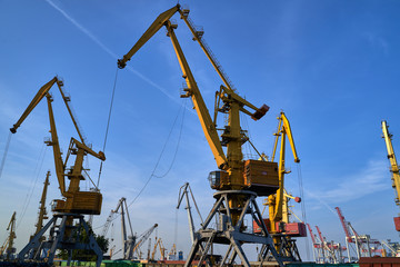 Fototapeta na wymiar Harbor cranes in backlight. Port cranes at industrial sea port