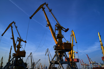Fototapeta na wymiar Harbor cranes in backlight. Port cranes at industrial sea port