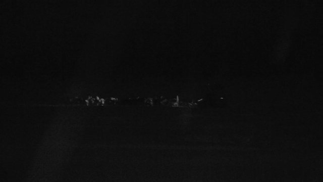 Sled Dogs Racing Through Wintry Night While Snowing