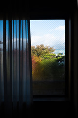 Window and tree with red and yellow leafs