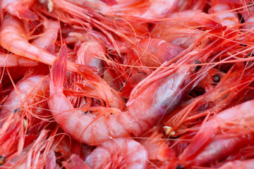 Gamba roja de Puerto Soller 