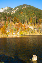 Autumnal landscape at the Spitzingsee in Bavaria