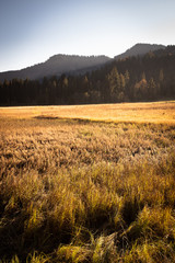 Autumnal landscape at the Spitzingsee in Bavaria
