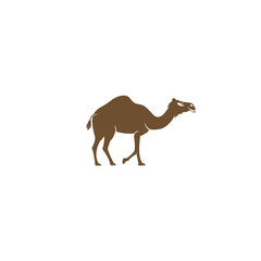 Camel vector logo design template. Middle eastern cultural vector  design.