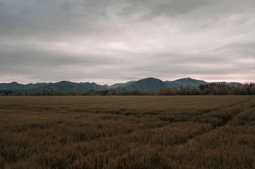 Beautiful landscape under cloudy sky