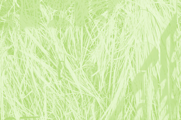 abstract light green background with copy space for design