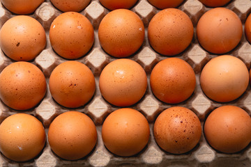 Pack de huevos de color. Producto de campo. Granja.