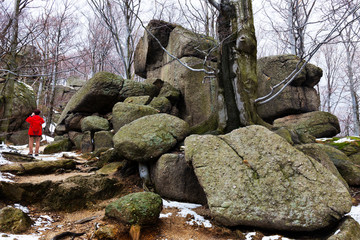 North Bohemia forest Landscape with its Boulders and Trees, Jizera Mountains, Czech Republic
