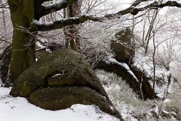 Snowy North Bohemia forest Landscape with its Boulders and Trees, Jizera Mountains, Czech Republic
