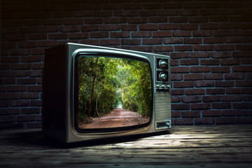 Vintage old TV with ecology concept