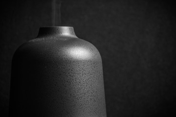 Electric Essential oils Aroma diffuser, oil bottles and flowers on wooden table, space for text