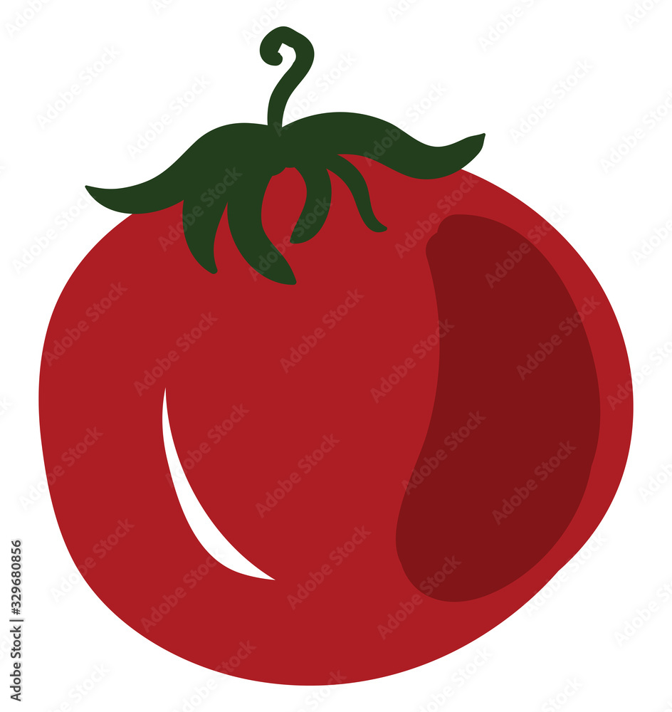 Canvas Prints Flat tomato, illustration, vector on white background.