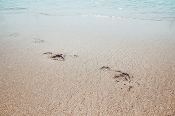 Holiday symbol of quiet rest in attractive areas on the beach, with visible footprints in the sand. Concept for travel vacation - footsteps in sand on summer tropical getaway holidays vacation