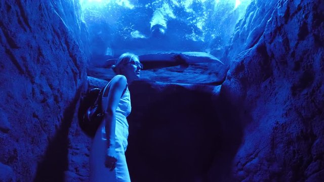 Smart Girl And The Giant Salamander.