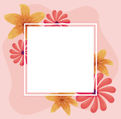 square frame over decorative and beautiful flowers