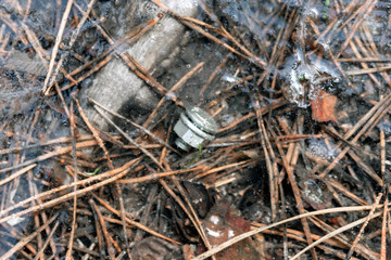 Metal bolt with nut and pine needles under a thin layer of ice in the forest, texture, macro shot.