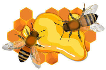 Close up view of the bee on honey drop