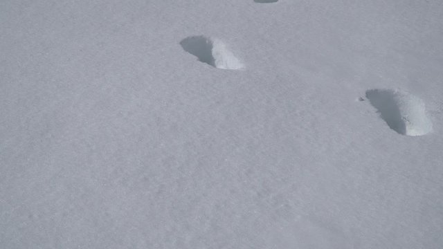 The first footprint on clean snow.