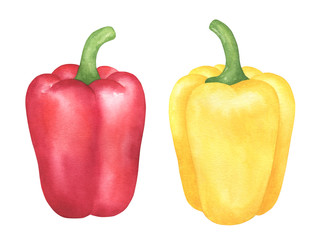 Watercolor Peppers Illustration