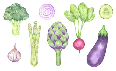 Watercolor Vegetables Set