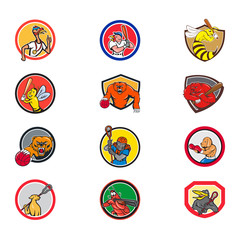 Set or collection of cartoon character mascot style illustration of animals like turkey, wasp, bee, bear, gorilla,dog, shrimp, crow engaged in sports or sporting on isolated white background.