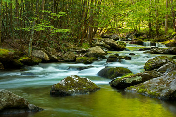 Naklejka na ściany i meble Morning light on the Middle Prong of the Little River, Great Smoky Mountains National Park, Tennessee.
