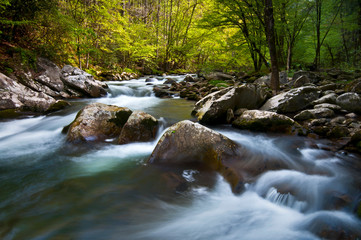 The Middle Prong of the Little River swells with spring runoff in Great Smoky Mountain National Park.