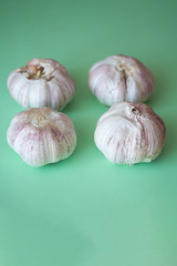 Four garlic bulbs on green background. Close up of seasonal vegetable. Fresh organic healthy food. Spicy culinary ingredient. Harvesting background with copyspace