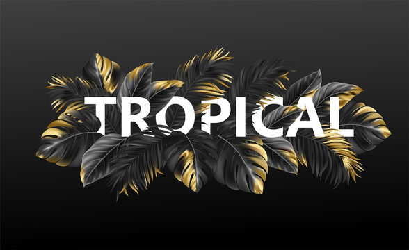 Tropical lettering on a black background from golden tropical leaves of plants. Vector illustration