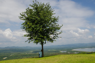 Alone under green tree with beautiful view