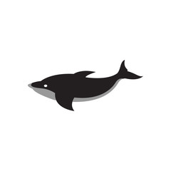 Whale graphic design template vector isolated