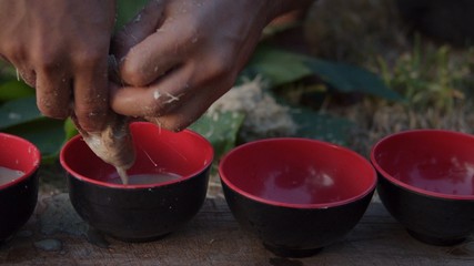 local young black man preparing kava juice drink at a tropical island of Vanuatu in the south pacific ocean during the afternoon by squeezing it to small cups - obrazy, fototapety, plakaty