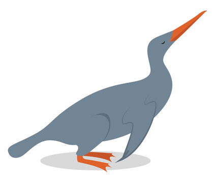 Waimanu Bird, Illustration, Vector On White Background.